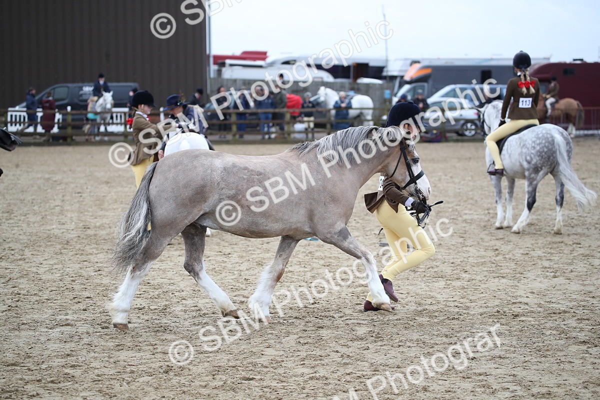 SBM_005977 - Class 10-13 - RIHS Small Large Breeds