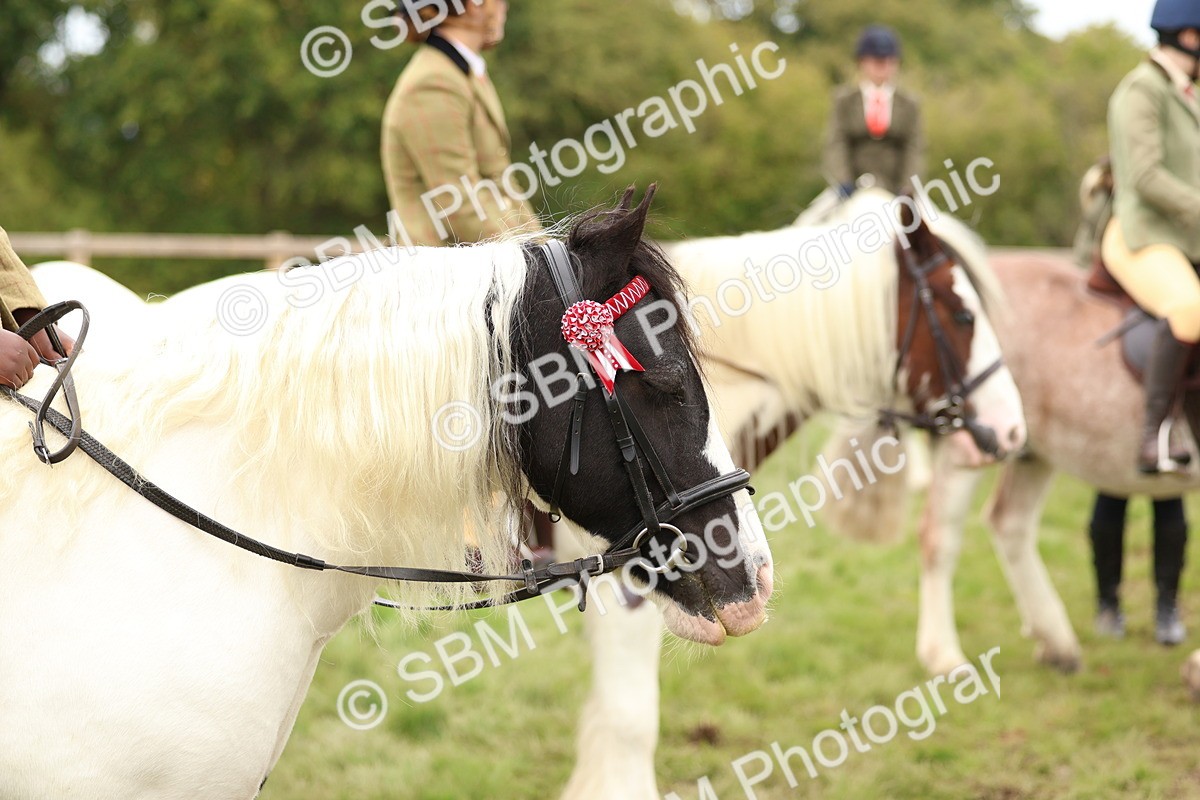 SBM_64616 - S58 - Coloured Pony Ridden