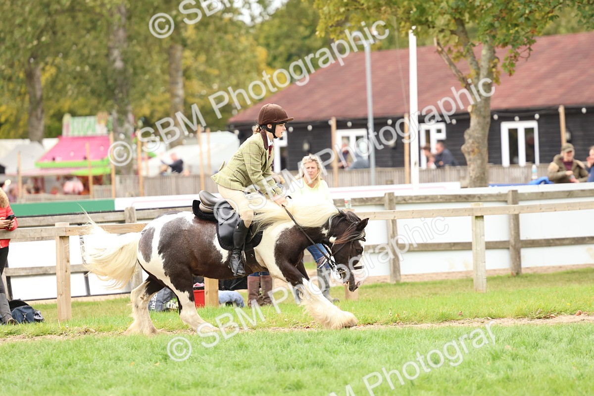 SBM_64549 - S58 - Coloured Pony Ridden