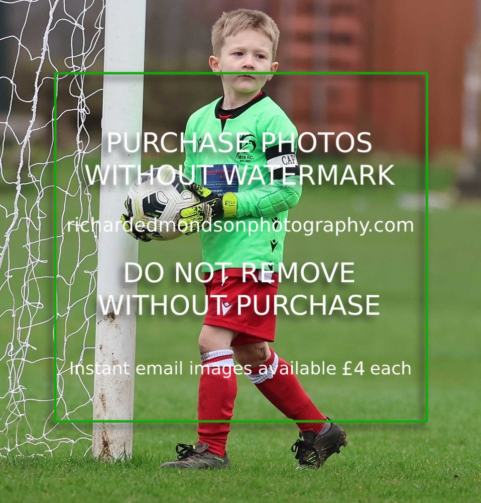 533A0788 - Ibis Under 7's (28/2/26)