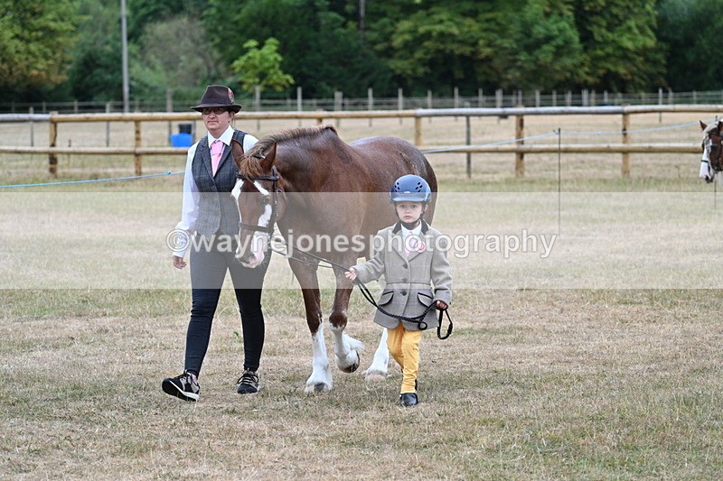 WJ7_8007 - Class 4 Prettiest Mare up to 14.2hh