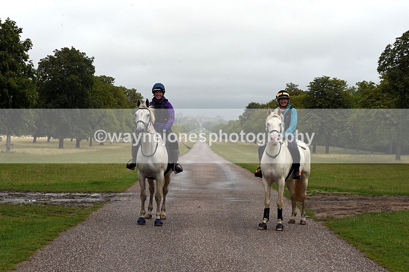 TT3_8308 - Time at Crossing 10:16 to 11:38