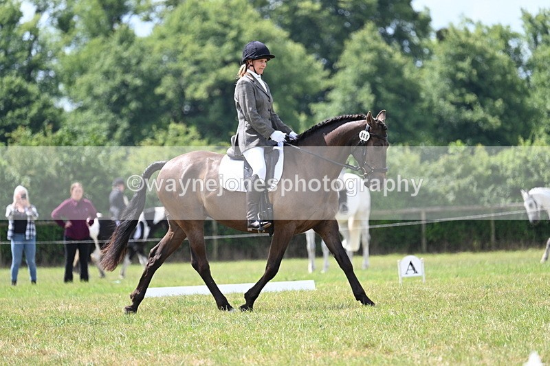 WJ7_4801 - Time 11:22 to 11:51