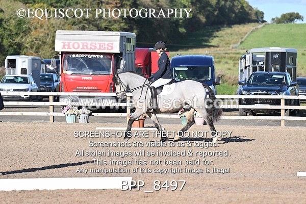 BPP_8497 - SHORT ARENA INTRO 1