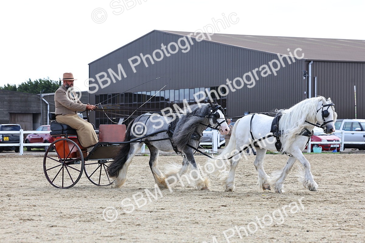 SBM_001176 - Class 16 - Pairs ,Multiples and Tandems