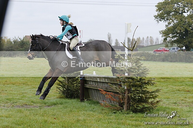 WWHT 181020 WWHT 181020 241 - WWEC Novice Restricted (0.80m) 18/10/20