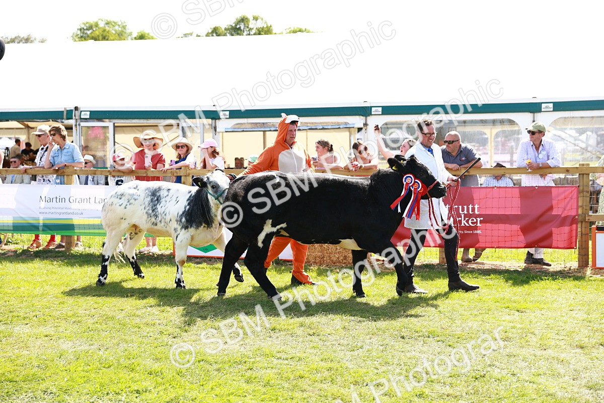SBM_08424 - Grand Parade