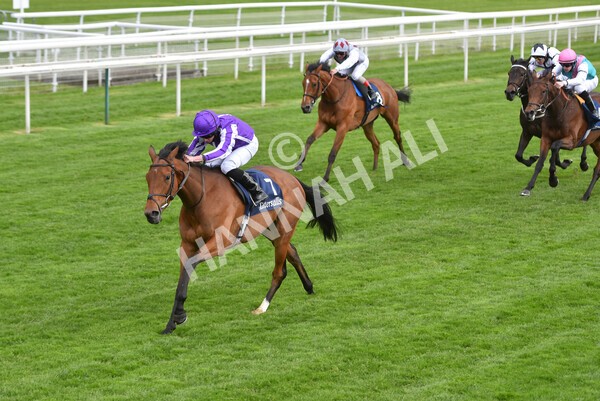 yr12052021r4-34 - Race 4 3.10pm Tattersalls Musidora Stakes
