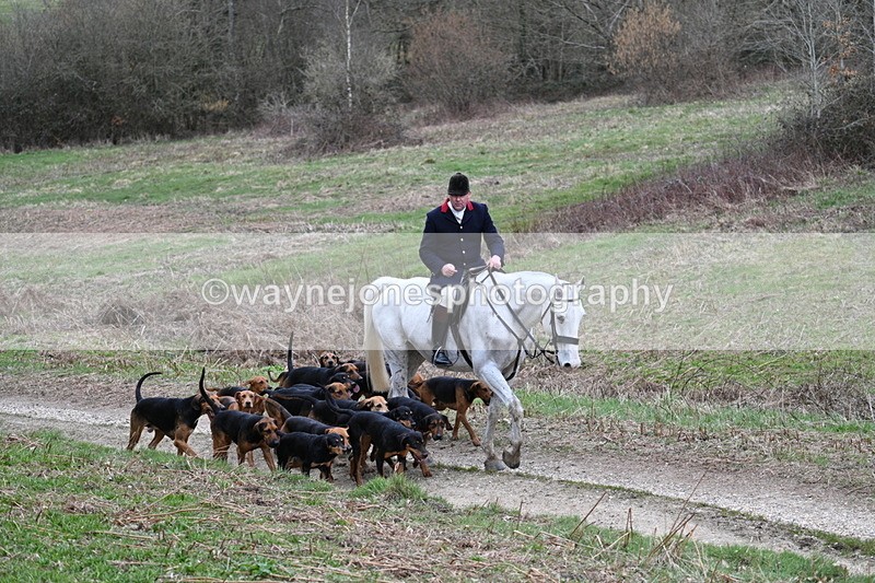 WJ7_7306 - Walk Home