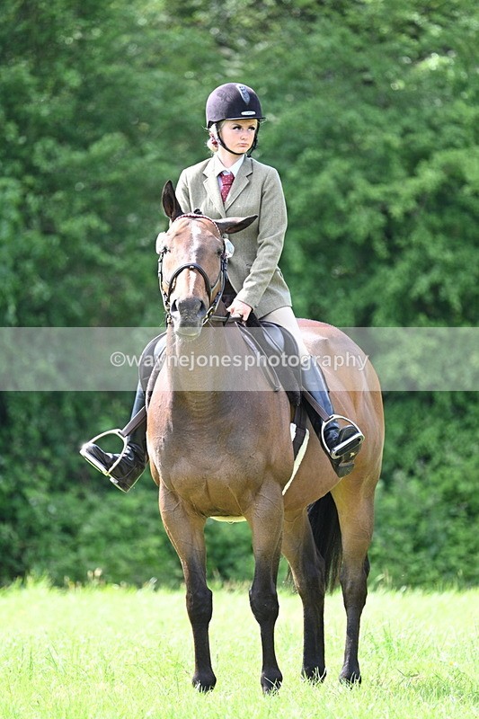 WJ7_1399 - Class 11 Condition & Turnout