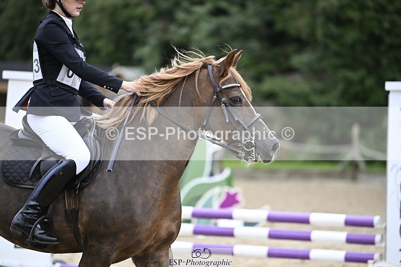 251005A-130320-04026 - Cls 08 Mini 70-75cm