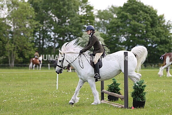 IMG_2502 - Working Hunter
