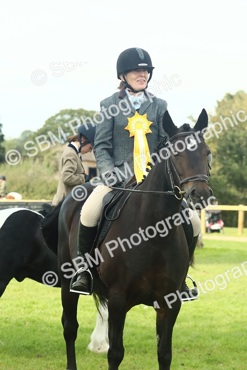 SBM_66788 - S34 - Rehabilitated Rescue Horse & Pony In Hand & Ridden
