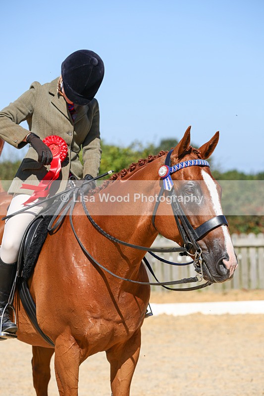 1X9A7941 - Class 10:Riding Horse