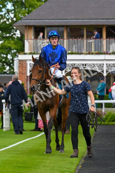 140624-Race 2-Inconspicuous-4028 - Race 2 2.25pm CGE Yorkshire Rous Selling Stakes