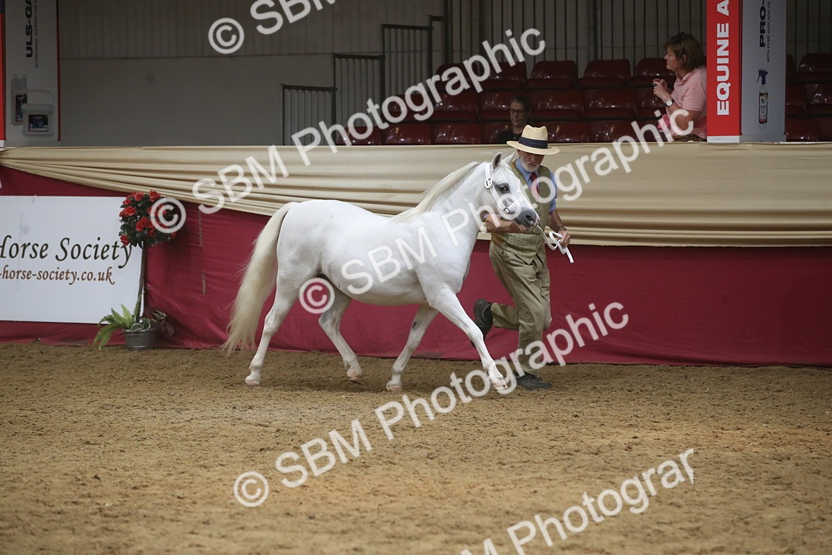 SBM_05531 - Class 9R - Regional IH Pre-Vet