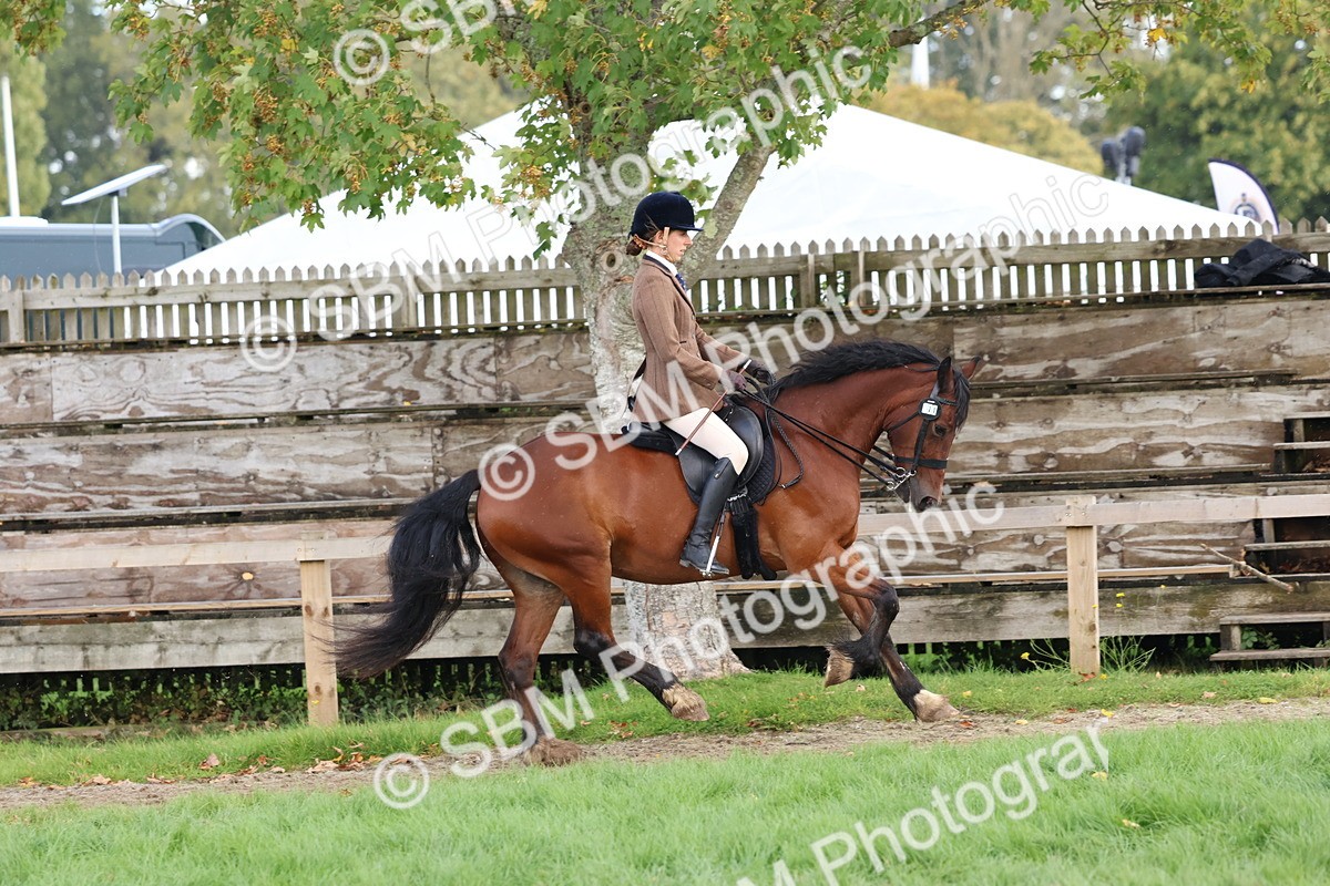 SBM_47677 - S28 - Veteran Ridden