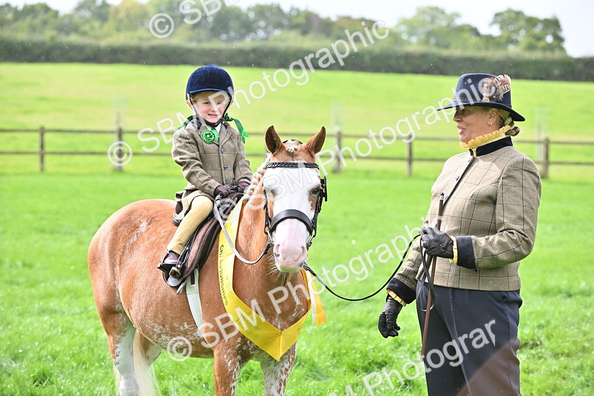 SBM_38357 - S19 - Lead Rein Show & Show Hunter Pony