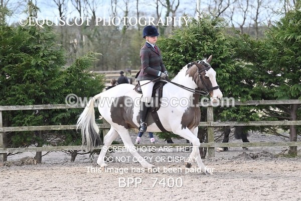 BPP_7400 - RING 1  (RIDDEN HORSES / IN HAND / VETERAN ETC)