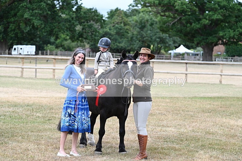 WJ7_9902 - Class 1 Lead Rein Pony