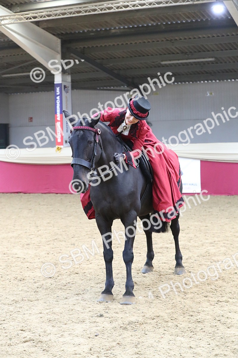 SBM_12181 - Class 107 Ridden Costume- Astride Adult (20+)