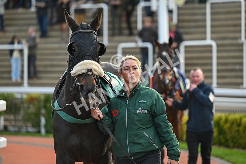 241025-Race 7-Moroder-5151 - Race 7
