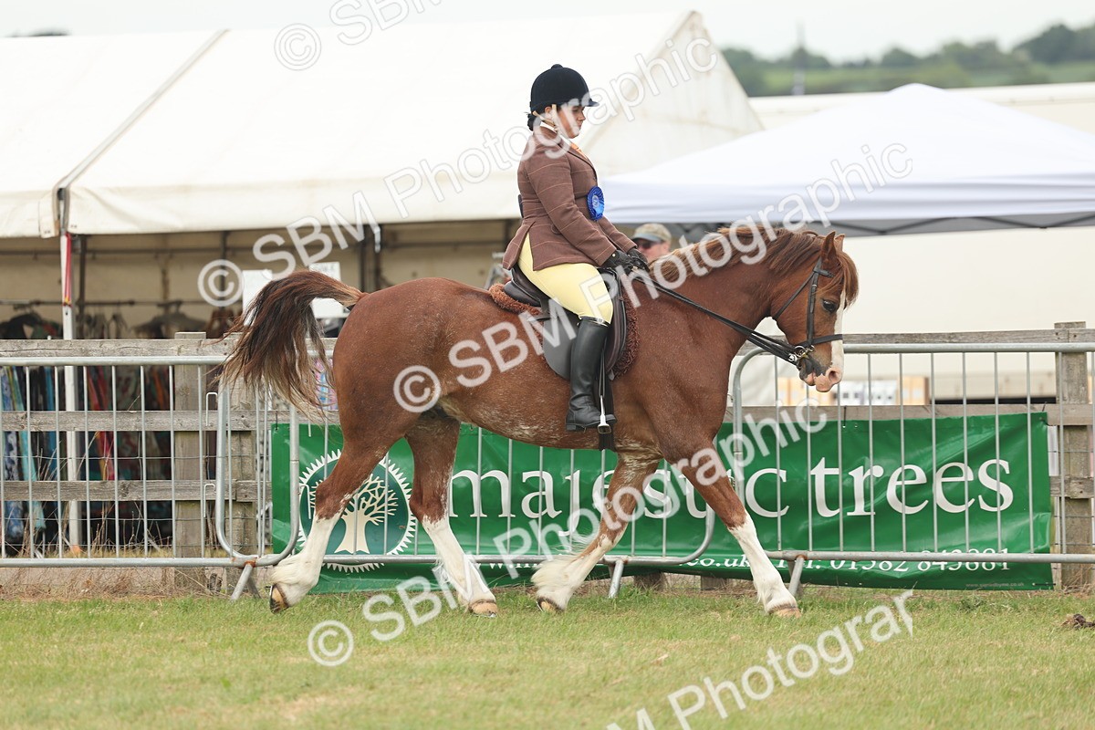 SBM_09104 - Class 78-80 - Ridden M&M Non Welsh Ponies