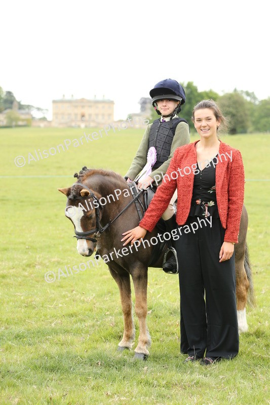 20250517-1229 - Class 21 - Novice Working Hunter