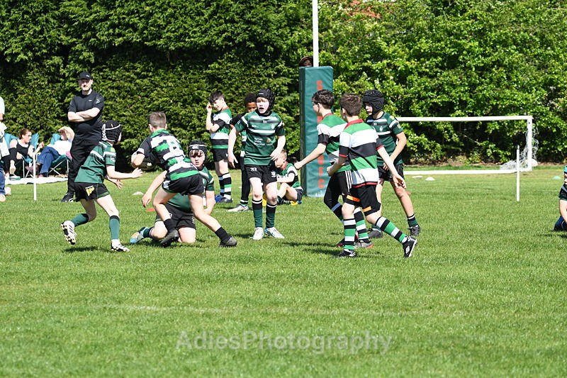  - Selby Rugby Festival 2025