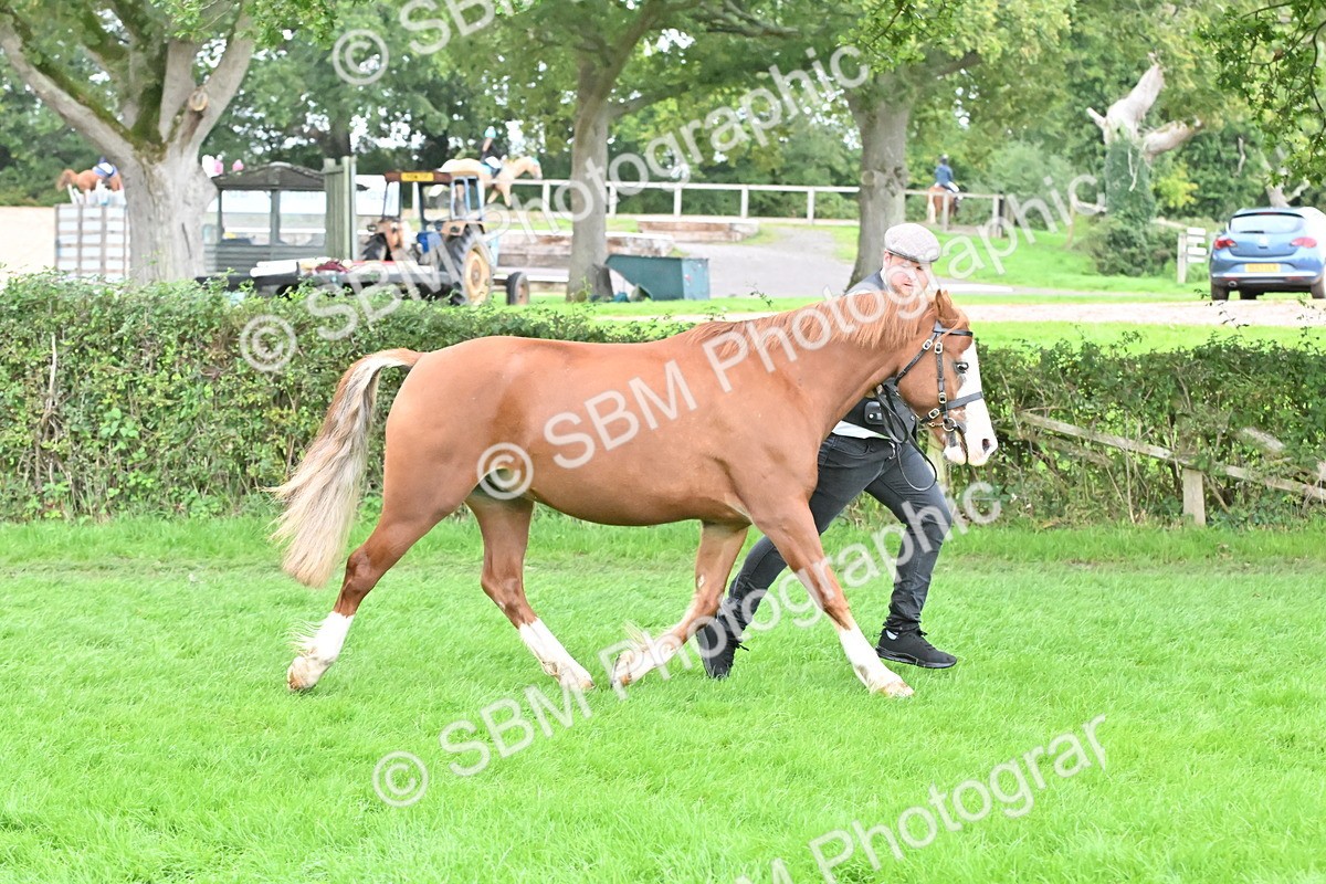 SBM_63228