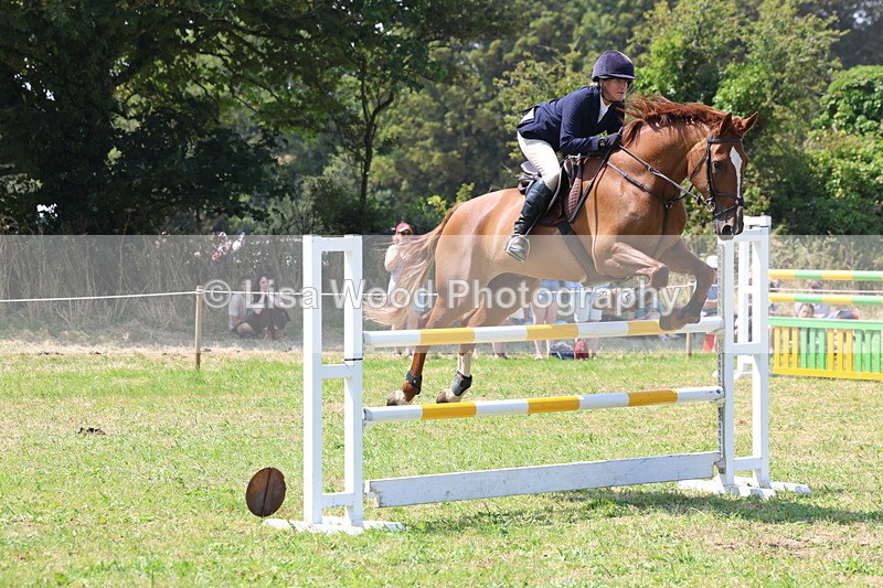 3E7A3352 - Class 10: Senior Foxhunter/1.20 open
