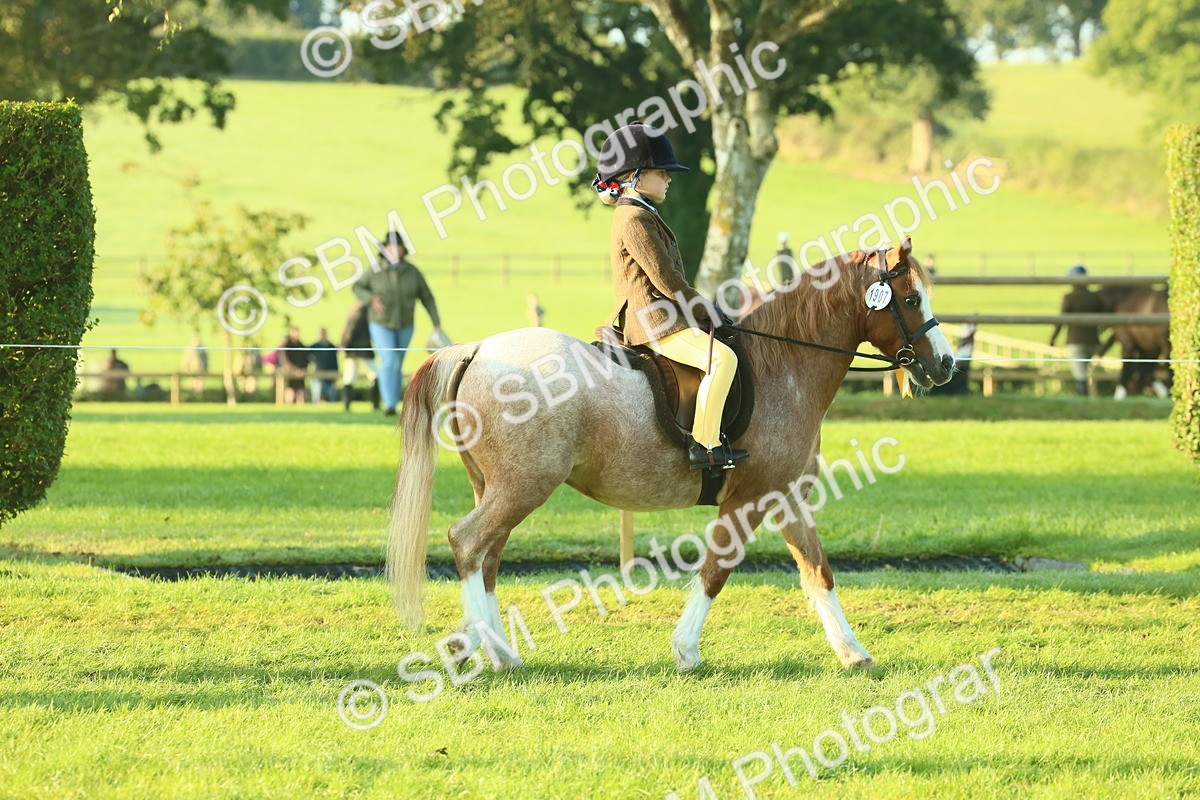 SBM_56777 - S36 - Starters Best Turnout