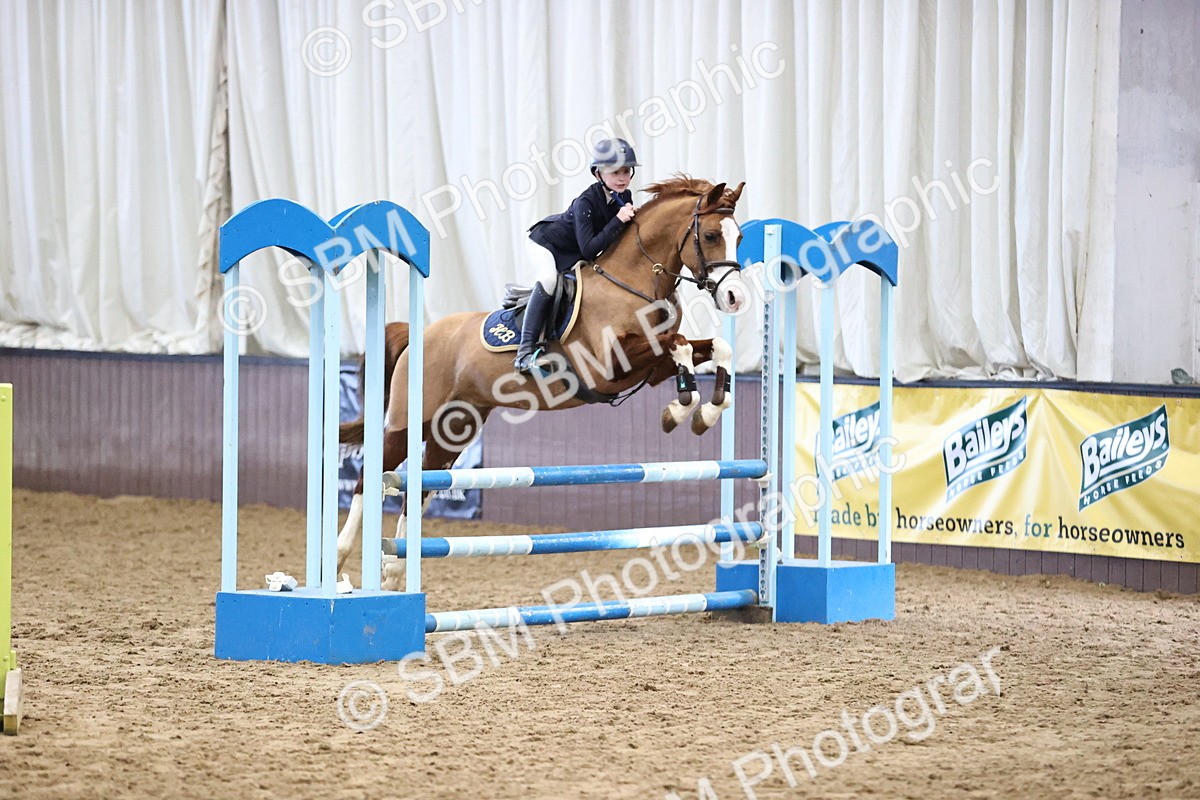 SBM_001303 - Class 9 - Pony British Novice 80cm