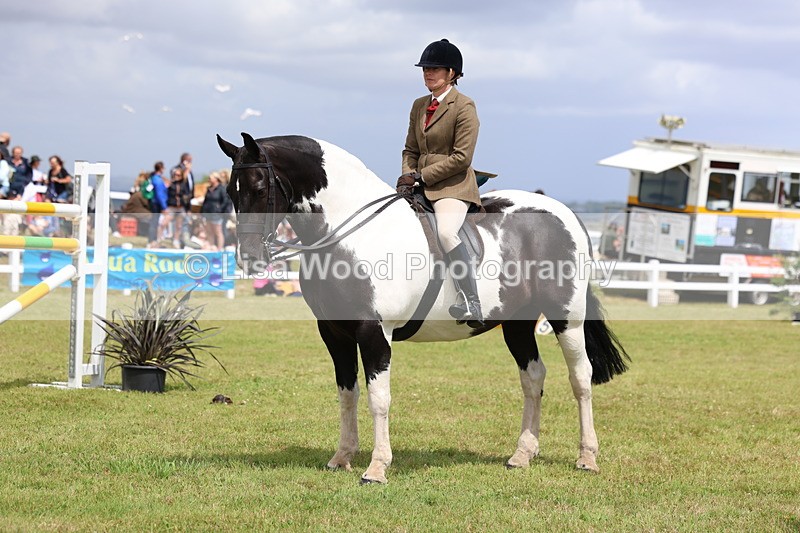 3E7A2276 - Class 10: Open Cob