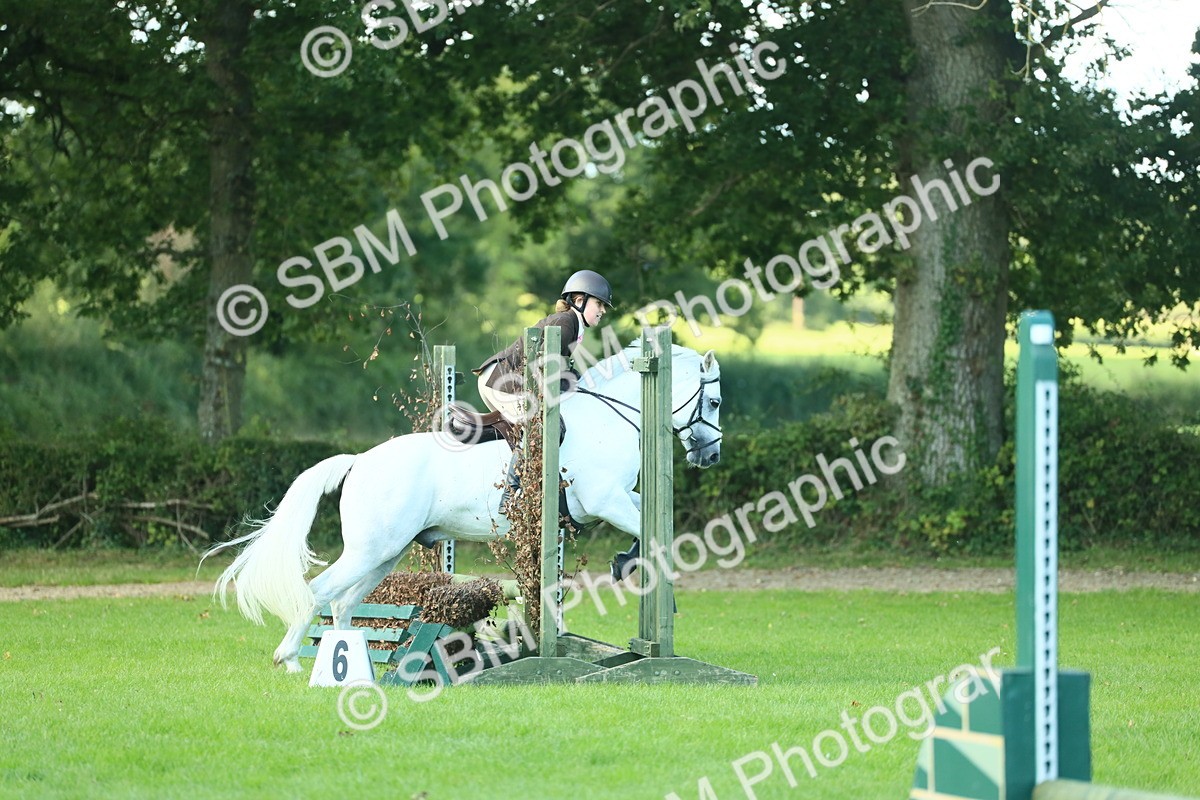 SBM_39236 - S29 - Novice & Newcomers Working Hunter Pony