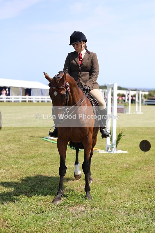 3E7A9438 - Class 12: Open Racehorse to Show Horse