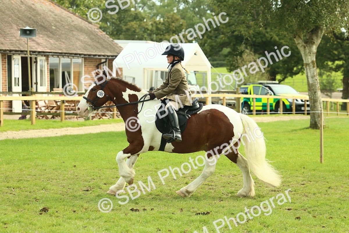 SBM_68236 - S58 - Mini Show Cob Ridden