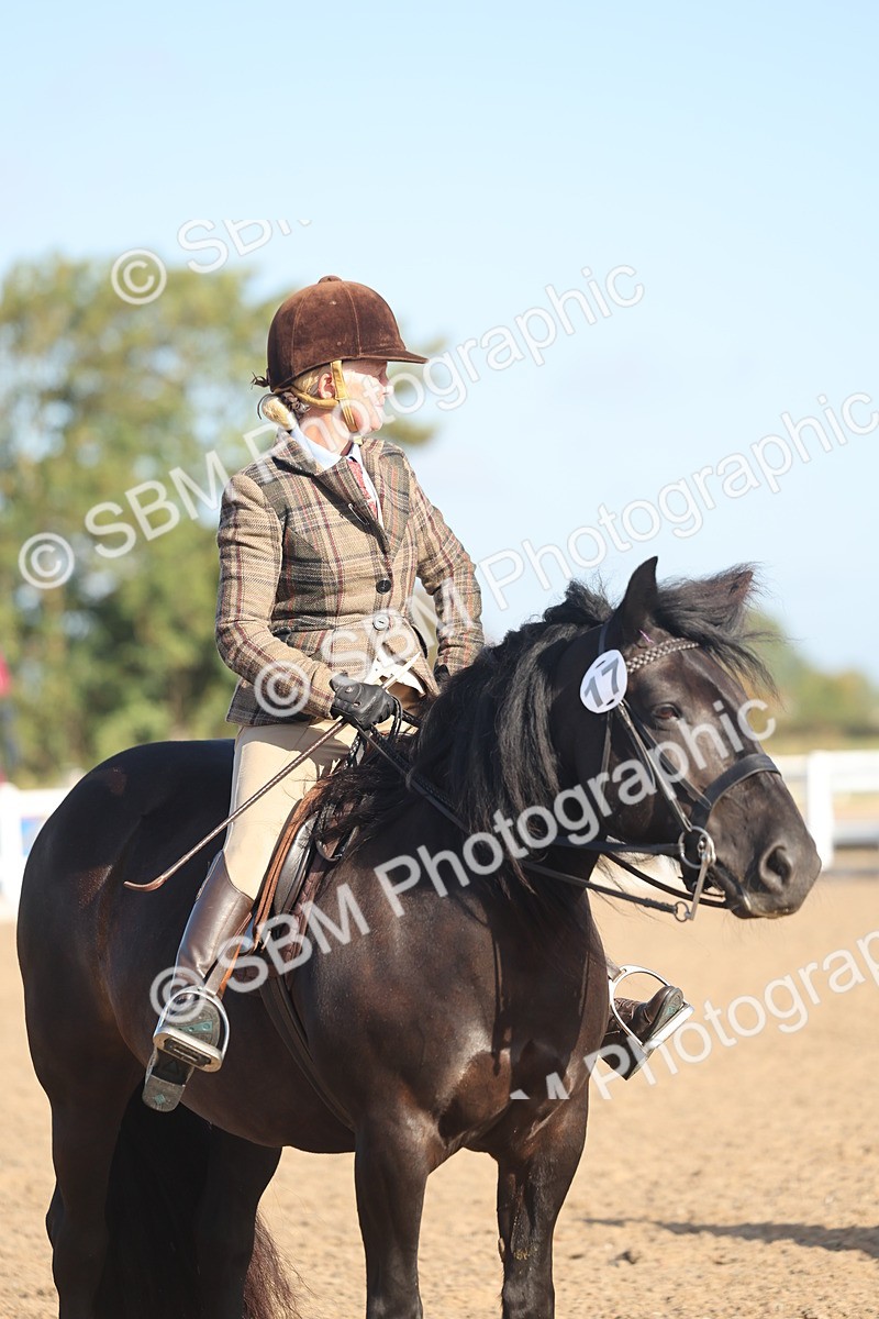 SBM_22129 - Class 801 - Ridden Veterans
