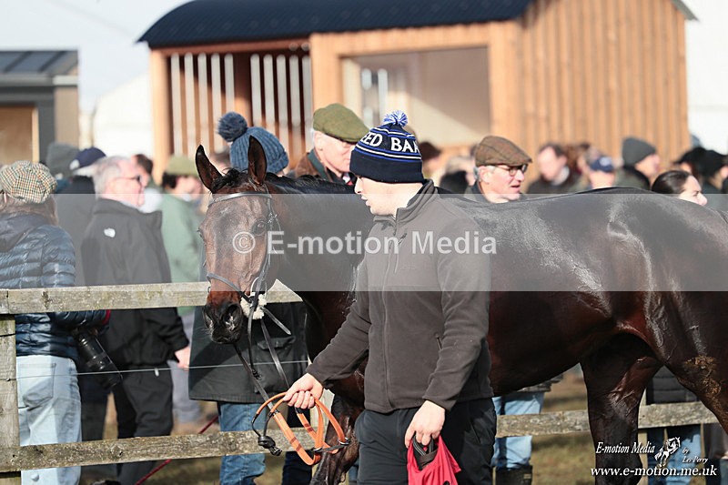 PtP 250126 528 - Cocklebarrow Races Point-to-Point 25/01/26