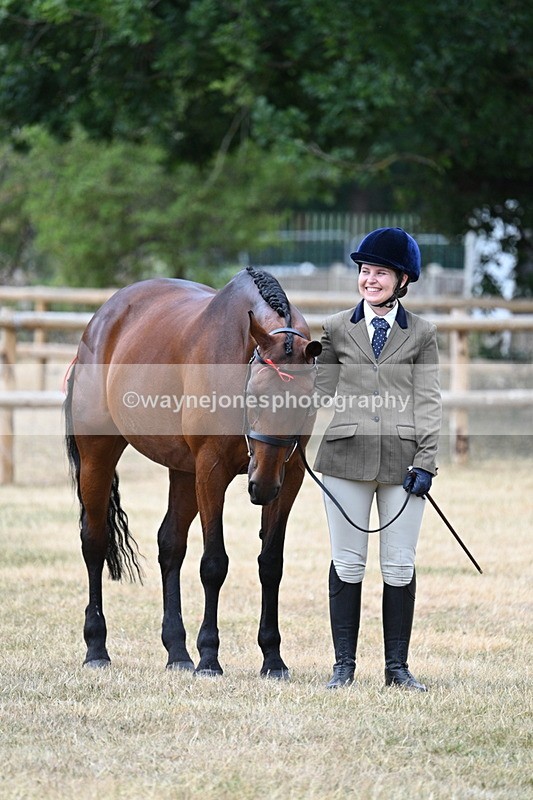 WJ7_1845 - Class 4a Prettiest Mare 14.2hh and over hand