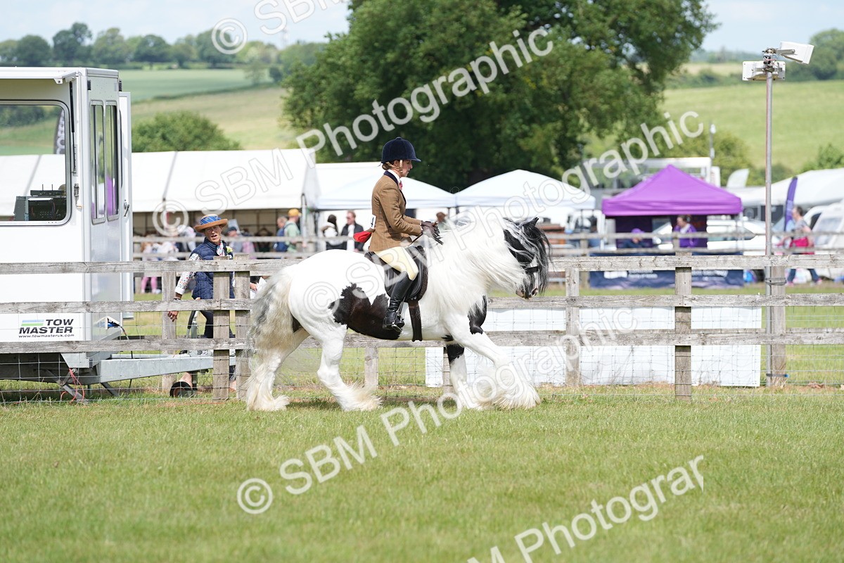 SBM_17244 - Class 107-108 - LIHS BSPS Performance Coloured Horse Pony