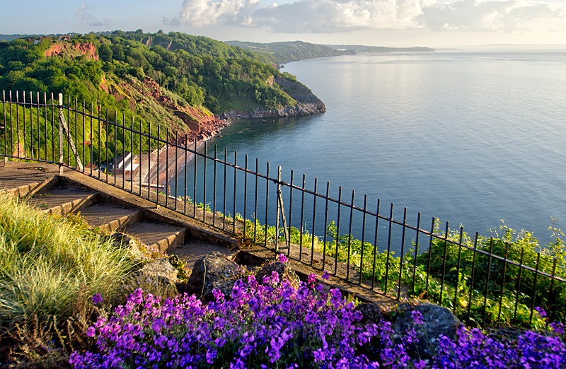 TQ218 _Springtime at Babbacombe Downs Torquay - Greetings Cards Torquay (Separate galleries for Cockington plus Meadfoot and Ansteys)
