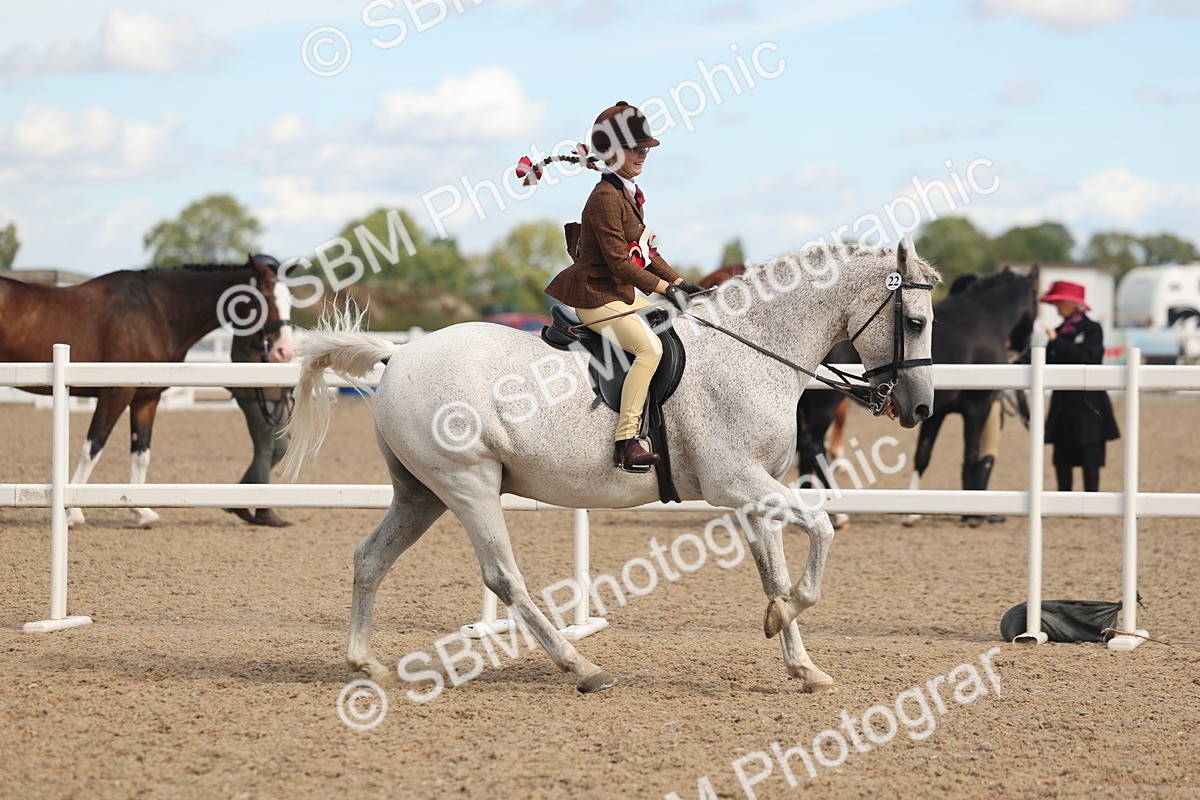 SBM_13212 - Class 306 - Ridden Foreign Breds - Part Bred