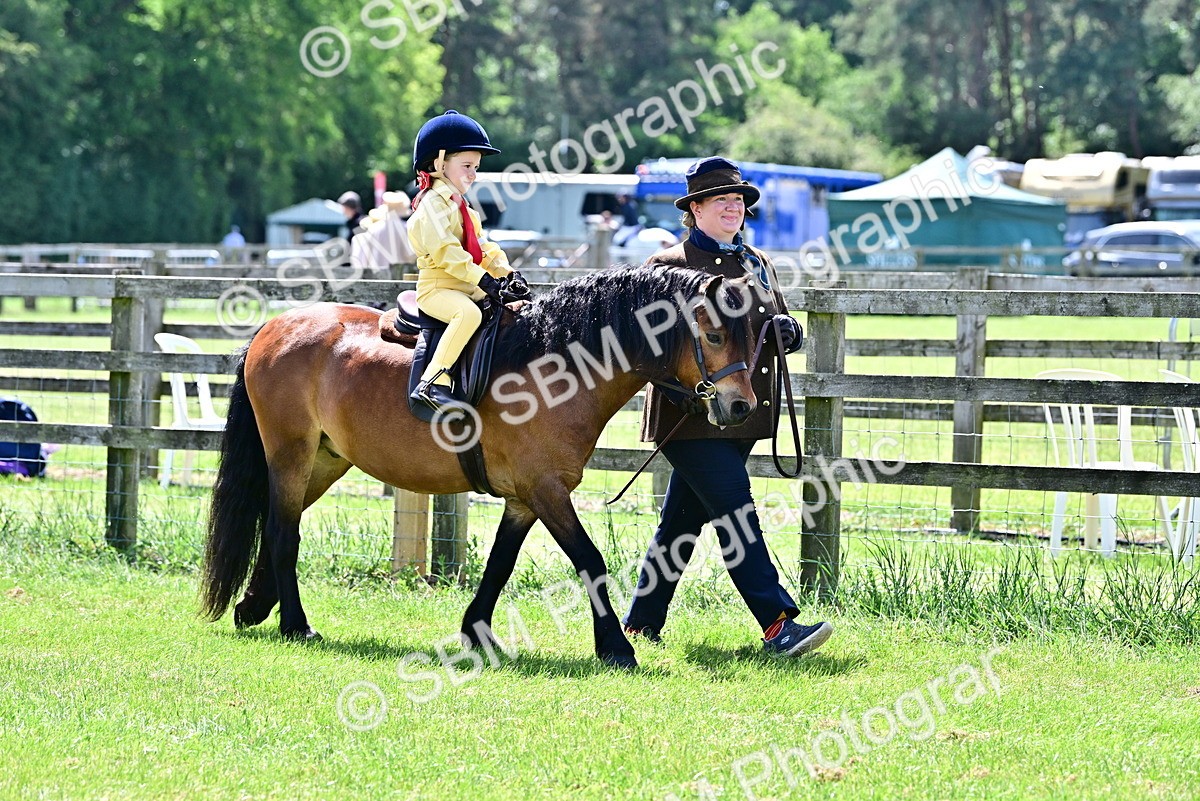 SBM_05745 - Class 59-60 - TSR M&M  Lear Rein and First Ridden Amateur of the year