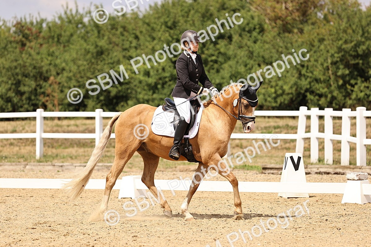 SBM_008784 - Elementary 5 - 12.48-14.08