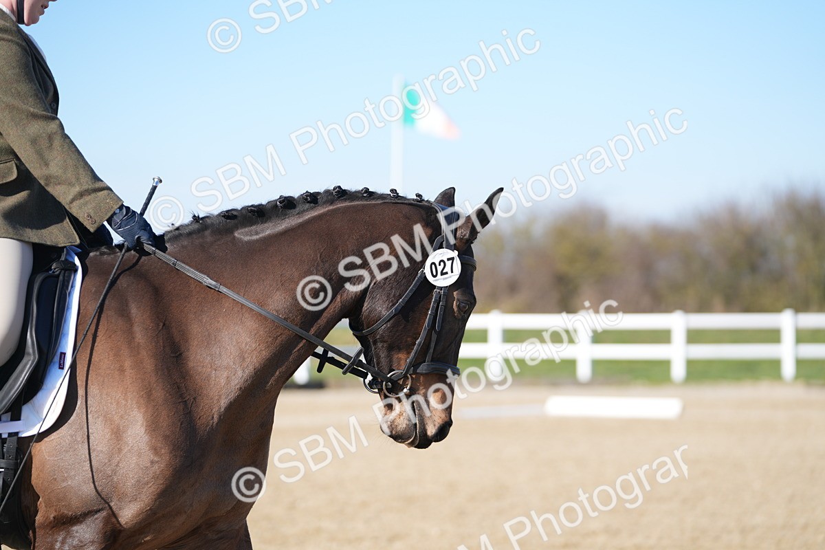 SBM_003399 - Class 3 - P2-80cm - E1