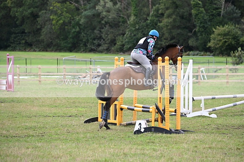 WJ6_2163 - 60cm Time 12:30 to 12:49