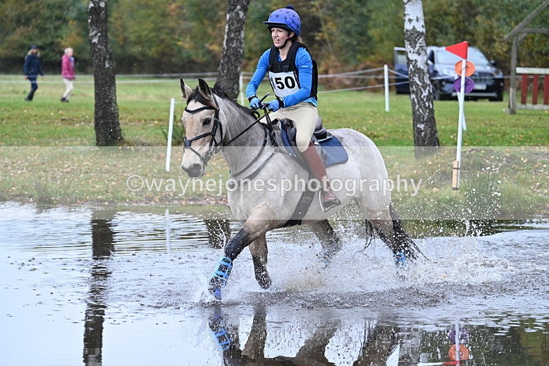 WJ7_1295 - 80cm Cam 2 Water Time 11:29 to 11:46