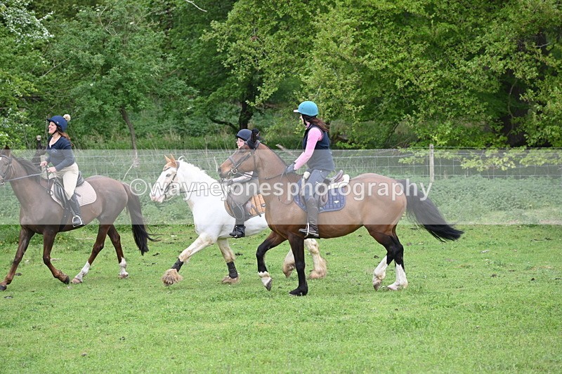 WJ6_3119 - A camera