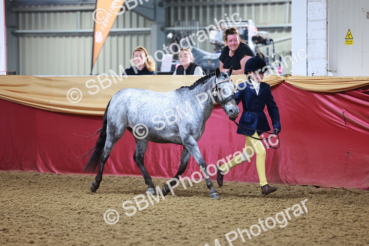 SBM_14689 - Class B - Junior Champ 11 to 16 Years